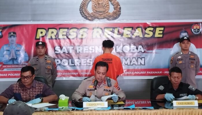 Polres Pasaman Amankan Tersangka FR atas kepemilikan Narkoba Jenis Ganja Kering