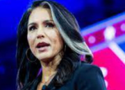 Tulsi Gabbard: A Maverick Voice in American Politics