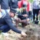 Bupati Pasaman Welly Suhery Ajak Warga Tanam Pohon Demi Masa Depan Lingkungan