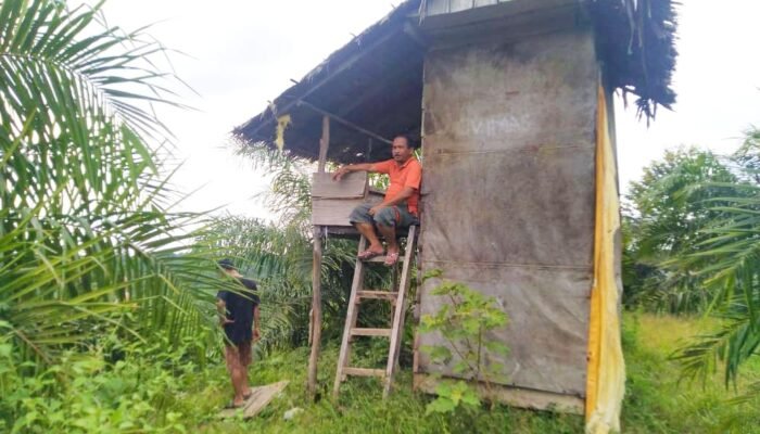 Sering-Seringlah Berbicara dengan Ayah dan Ibumu